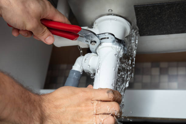 Best Basement water damage restoration  in West Samoset, FL