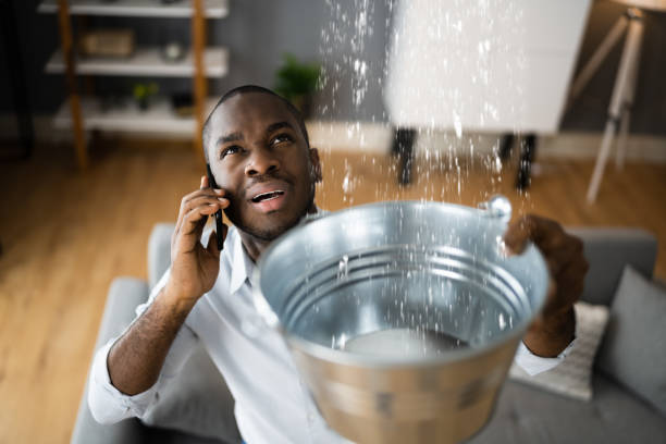  West Samoset, FL Water damage restoration Pros