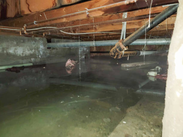Best Water damage restoration mold remediation  in West Samoset, FL