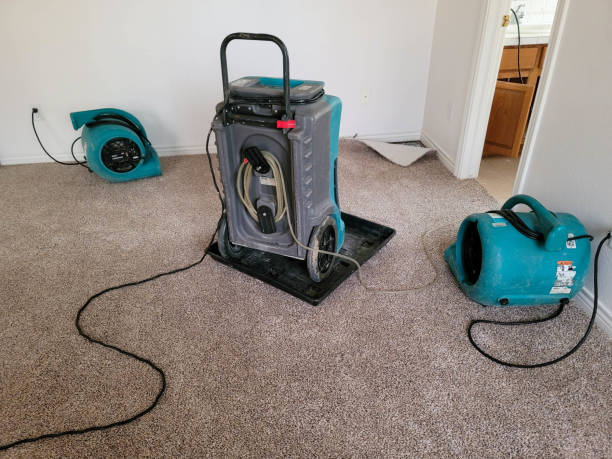 Best Mold removal after water damage  in West Samoset, FL