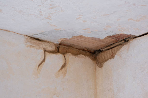 Best Ceiling water damage repair  in West Samoset, FL