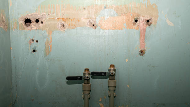 Best Sewage cleanup and water damage restoration  in West Samoset, FL