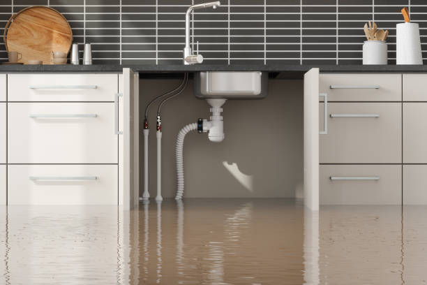Best Water damage cleanup near me  in West Samoset, FL